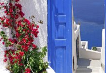 Σπιτικές Γεύσεις & Αναμνηστικά: Πώς να Φέρετε το Νησί Στο Σπίτι σας