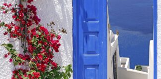 Σπιτικές Γεύσεις & Αναμνηστικά: Πώς να Φέρετε το Νησί Στο Σπίτι σας