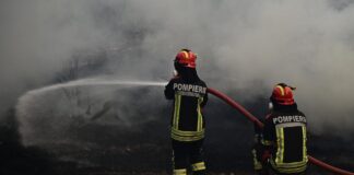 Αυτοψία από κλιμάκιο της ΔΑΕΕ στην περιοχή έναρξης της μεγάλης πυρκαγιάς