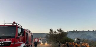 Περιφέρεια Στερεάς Ελλάδας: Δράση και Ετοιμότητα απέναντι στις Μεγάλες Πυρκαγιές