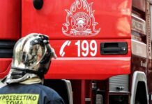 Πάρος: Άμεση επέμβαση για φωτιά σε χαμηλή βλάστηση στον Κώστο