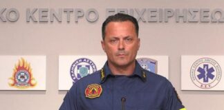 Δυτική Αττική: Μάχη με τις αναζωπυρώσεις στην Ψάθα – «Χρειάζεται χρόνος και κόπος»