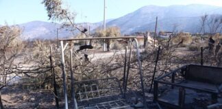Πυρόπληκτοι Πόρτο Γερμενό: Εντός εβδομάδας οι αποζημιώσεις – Επιστρατεύεται ο κρατικός μηχανισμός