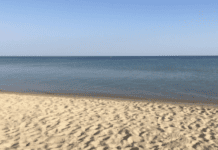 Χαλκιδική: Αντιδιαβρωτική Προστασία & Ανάπλαση στην Ακτή Φούρκας