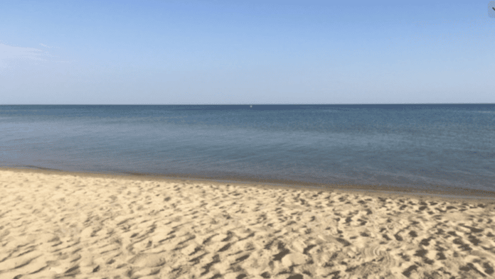 76745efe-34db-4013-85d5-17d243532ac9.png