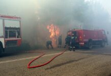 Φωτιά στην Πέλλα: Τέθηκε υπό έλεγχο η πυρκαγιά στα Άθυρα