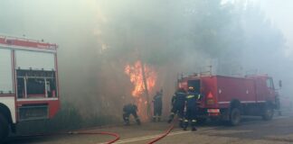 Φωτιά στην Πέλλα: Τέθηκε υπό έλεγχο η πυρκαγιά στα Άθυρα