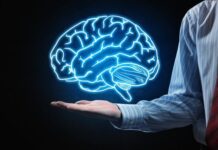 Νέα έρευνα αποκαλύπτει: Ο ανθρώπινος εγκέφαλος και τα δύο ξεχωριστά όργανα!
