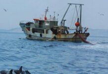 Αλιείς σε απόγνωση: Εκατοντάδες έργα αφήνουν χιλιάδες οικογένειες χωρίς προοπτική